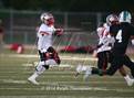 Photo from the gallery "Antelope @ Sheldon"