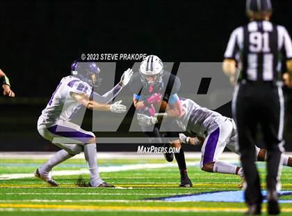 Thumbnail 3 in Potomac Falls @ Stone Bridge photogallery.
