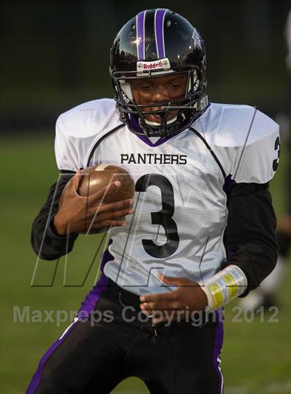 Thumbnail 1 in Potomac Falls @ Loudoun Valley photogallery.