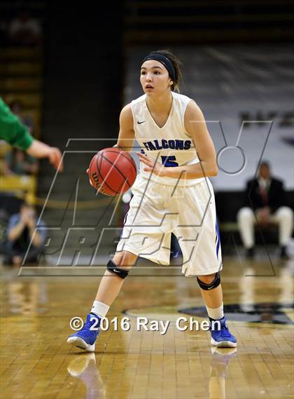 Thumbnail 3 in ThunderRidge vs. Highlands Ranch (CHSAA 5A Final) photogallery.