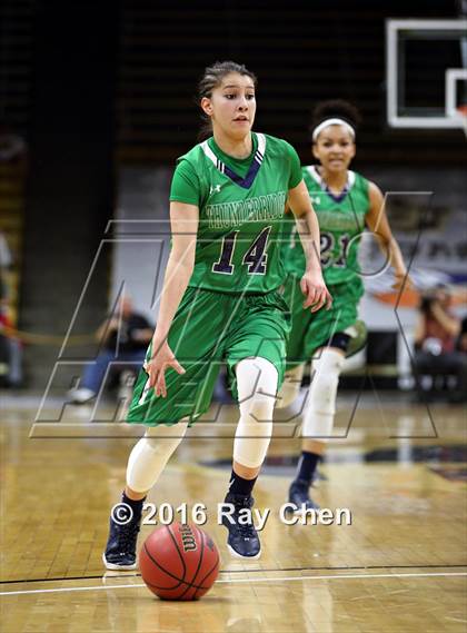 Thumbnail 2 in ThunderRidge vs. Highlands Ranch (CHSAA 5A Final) photogallery.