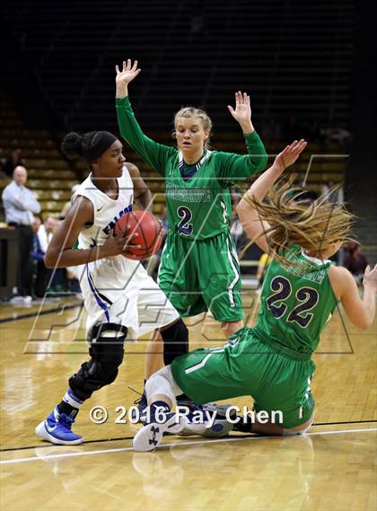 Thumbnail 2 in ThunderRidge vs. Highlands Ranch (CHSAA 5A Final) photogallery.