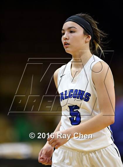 Thumbnail 2 in ThunderRidge vs. Highlands Ranch (CHSAA 5A Final) photogallery.