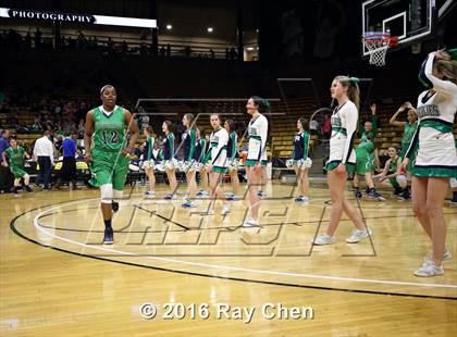 Thumbnail 3 in ThunderRidge vs. Highlands Ranch (CHSAA 5A Final) photogallery.