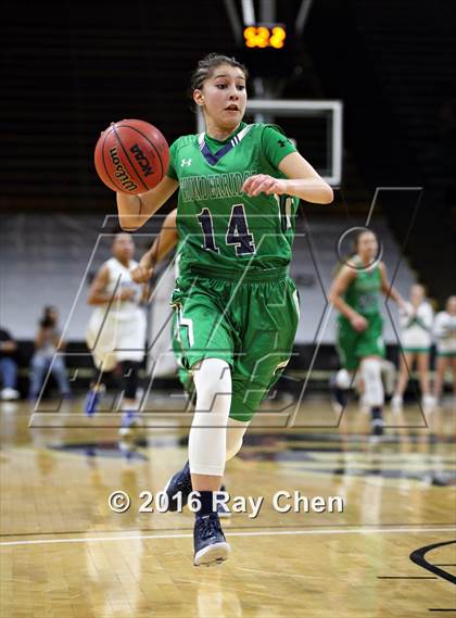 Thumbnail 1 in ThunderRidge vs. Highlands Ranch (CHSAA 5A Final) photogallery.