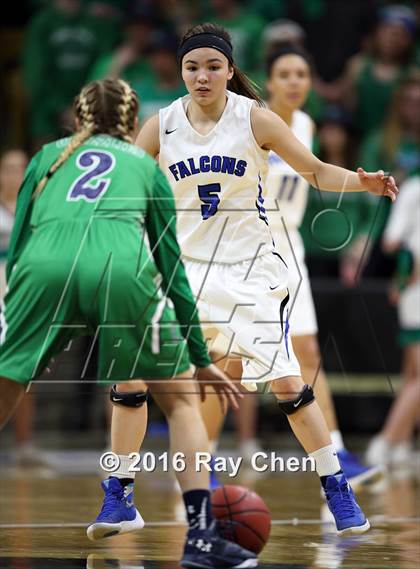 Thumbnail 1 in ThunderRidge vs. Highlands Ranch (CHSAA 5A Final) photogallery.