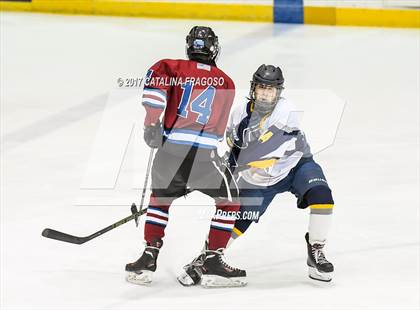Thumbnail 3 in Newton @ Vernon (Haas Cup) photogallery.
