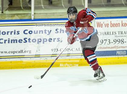 Thumbnail 1 in Newton @ Vernon (Haas Cup) photogallery.
