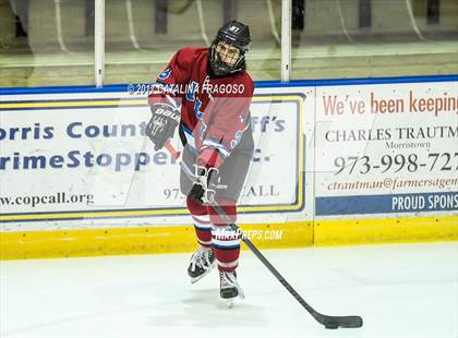 Thumbnail 3 in Newton @ Vernon (Haas Cup) photogallery.