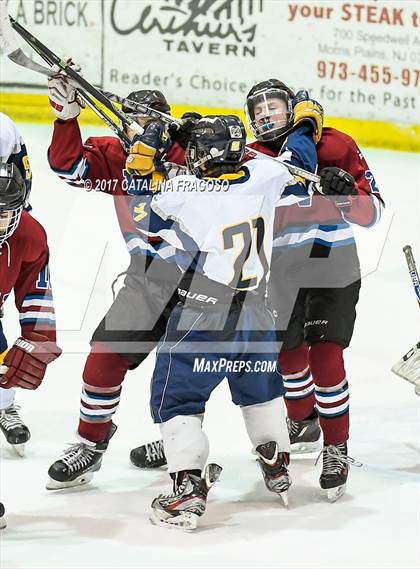 Thumbnail 3 in Newton @ Vernon (Haas Cup) photogallery.