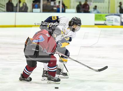 Thumbnail 1 in Newton @ Vernon (Haas Cup) photogallery.