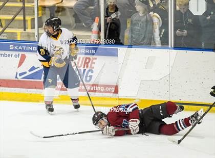 Thumbnail 1 in Newton @ Vernon (Haas Cup) photogallery.
