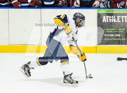 Thumbnail 3 in Newton @ Vernon (Haas Cup) photogallery.