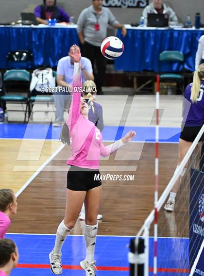 Thumbnail 2 in Rock Canyon vs. Cherry Creek (CHSAA 5A 2nd Round) photogallery.
