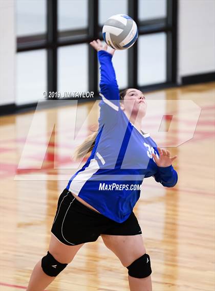 Thumbnail 3 in Rochelle @ Gorman photogallery.