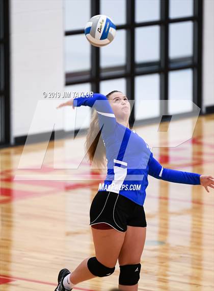 Thumbnail 3 in Rochelle @ Gorman photogallery.