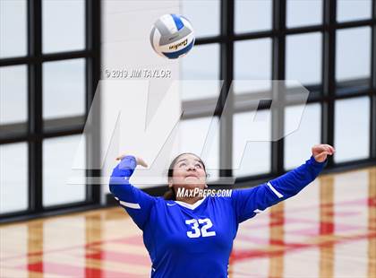Thumbnail 3 in Rochelle @ Gorman photogallery.