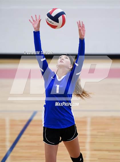 Thumbnail 3 in Rochelle @ Gorman photogallery.