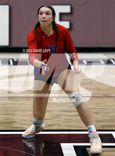 null - Photo 01