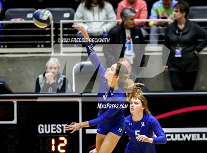 Thumbnail 3 in Celina vs. Needville (UIL Volleyball 4A Semi-Finals)  photogallery.