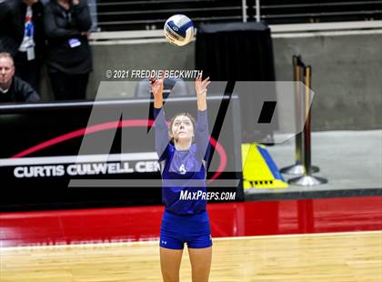 Thumbnail 2 in Celina vs. Needville (UIL Volleyball 4A Semi-Finals)  photogallery.