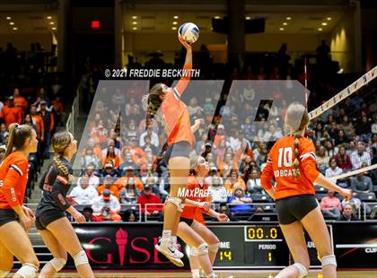 Thumbnail 3 in Celina vs. Needville (UIL Volleyball 4A Semi-Finals)  photogallery.