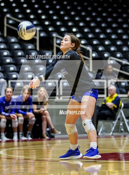 Thumbnail 1 in Celina vs. Needville (UIL Volleyball 4A Semi-Finals)  photogallery.