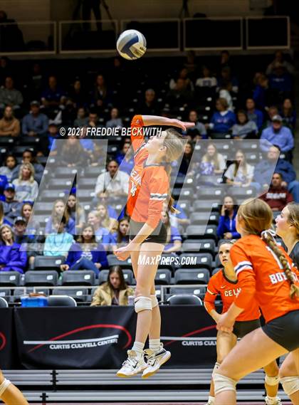 Thumbnail 1 in Celina vs. Needville (UIL Volleyball 4A Semi-Finals)  photogallery.