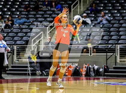 Thumbnail 3 in Celina vs. Needville (UIL Volleyball 4A Semi-Finals)  photogallery.