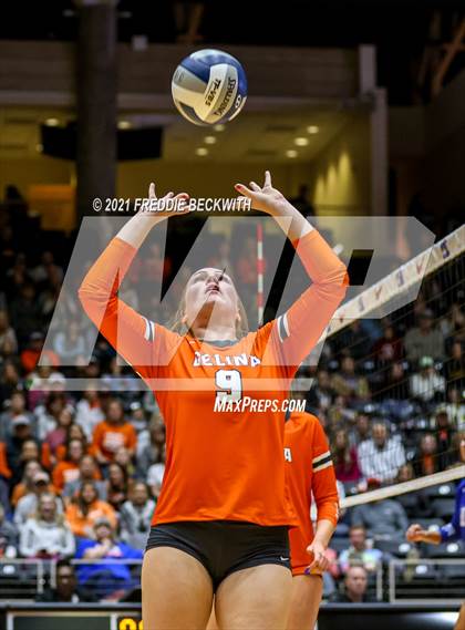 Thumbnail 1 in Celina vs. Needville (UIL Volleyball 4A Semi-Finals)  photogallery.