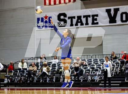 Thumbnail 1 in Celina vs. Needville (UIL Volleyball 4A Semi-Finals)  photogallery.