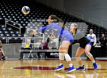 Thumbnail 2 in Celina vs. Needville (UIL Volleyball 4A Semi-Finals)  photogallery.