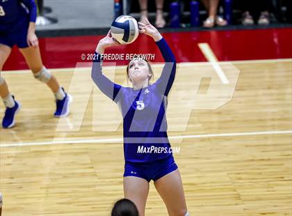 Thumbnail 2 in Celina vs. Needville (UIL Volleyball 4A Semi-Finals)  photogallery.