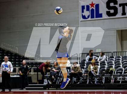 Thumbnail 1 in Celina vs. Needville (UIL Volleyball 4A Semi-Finals)  photogallery.