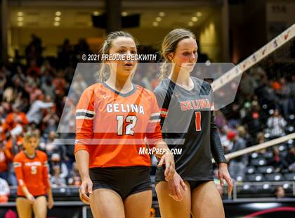 Thumbnail 1 in Celina vs. Needville (UIL Volleyball 4A Semi-Finals)  photogallery.