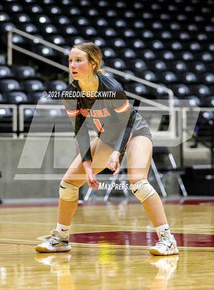 Thumbnail 2 in Celina vs. Needville (UIL Volleyball 4A Semi-Finals)  photogallery.