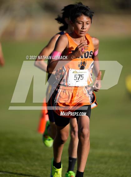 Thumbnail 1 in Los Alamos XC Invitational photogallery.