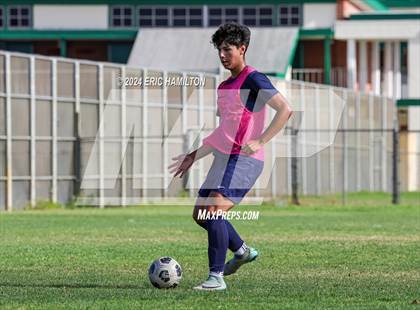 Thumbnail 1 in Animo Leadership vs Loyola (Scrimmage) photogallery.