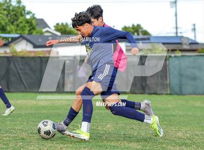 Thumbnail 1 in Animo Leadership vs Loyola (Scrimmage) photogallery.
