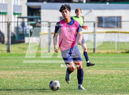 Thumbnail 2 in Animo Leadership vs Loyola (Scrimmage) photogallery.
