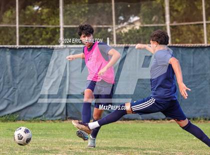 Thumbnail 2 in Animo Leadership vs Loyola (Scrimmage) photogallery.