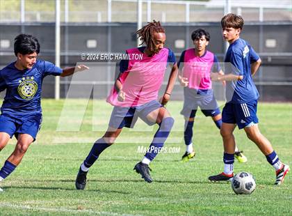 Thumbnail 1 in Animo Leadership vs Loyola (Scrimmage) photogallery.