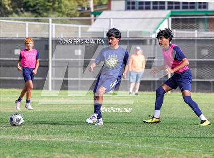 Thumbnail 1 in Animo Leadership vs Loyola (Scrimmage) photogallery.