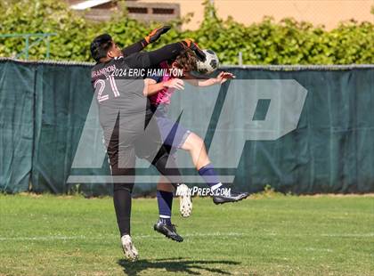 Thumbnail 1 in Animo Leadership vs Loyola (Scrimmage) photogallery.