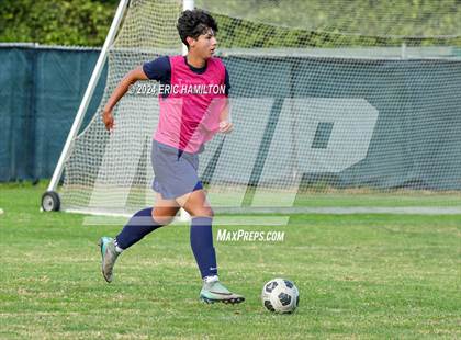 Thumbnail 1 in Animo Leadership vs Loyola (Scrimmage) photogallery.