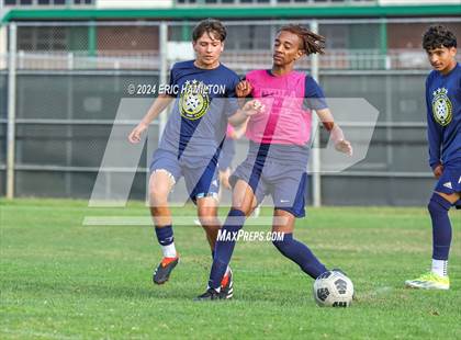 Thumbnail 2 in Animo Leadership vs Loyola (Scrimmage) photogallery.