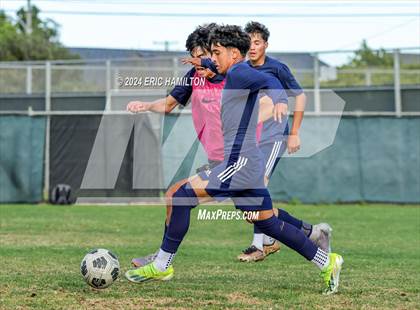 Thumbnail 3 in Animo Leadership vs Loyola (Scrimmage) photogallery.