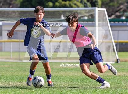 Thumbnail 3 in Animo Leadership vs Loyola (Scrimmage) photogallery.
