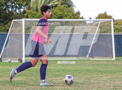 Thumbnail 2 in Animo Leadership vs Loyola (Scrimmage) photogallery.