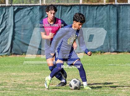 Thumbnail 3 in Animo Leadership vs Loyola (Scrimmage) photogallery.